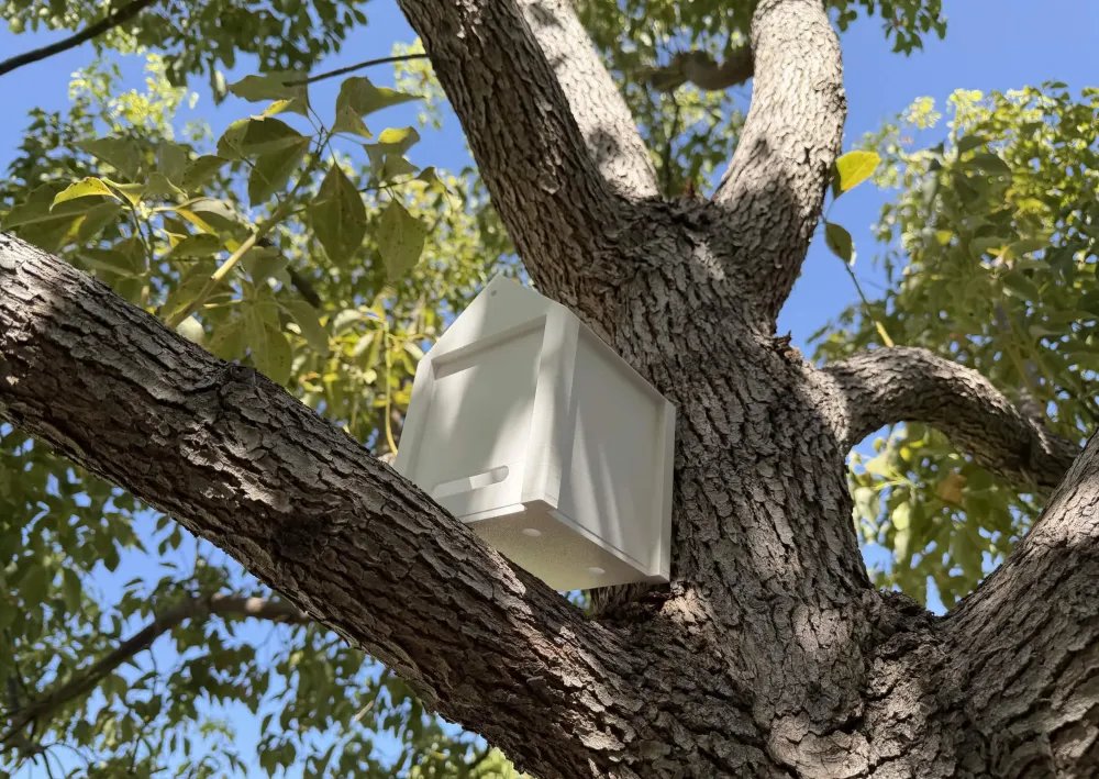 smart nest test 02